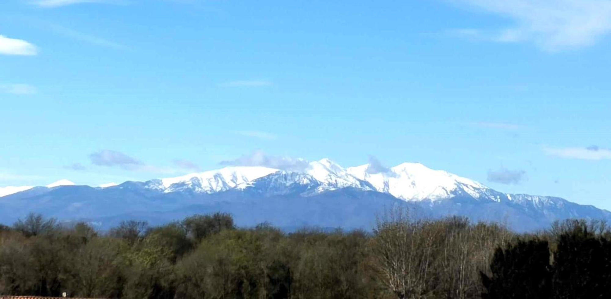T2 * Argeles-sur-Mer